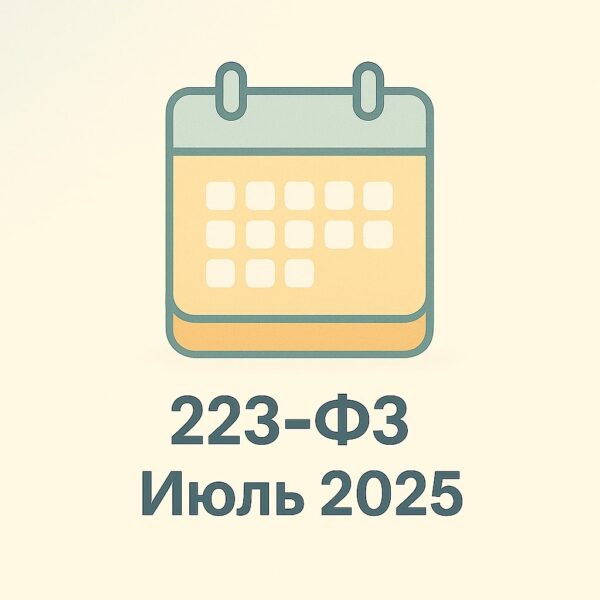 Контракты ФЗ-223 - 2025 год (август)